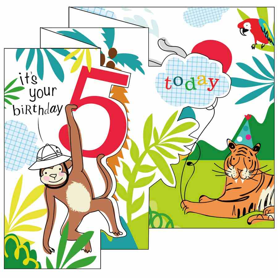 Caroline Gardner Zigzag Fold Out Card 5 Boy Safari ZIG009 folded