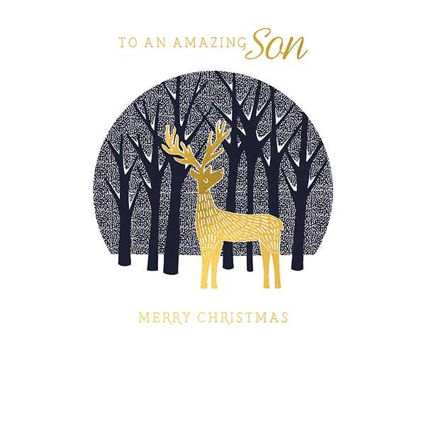 Christmas Card - To An Amazing Son AFRX179