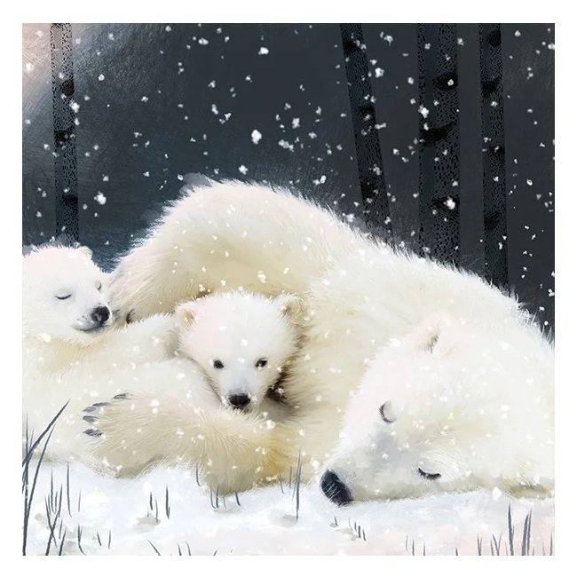 Christmas Cards 6 Pack Family Of Polar Bears XP335 picture detail