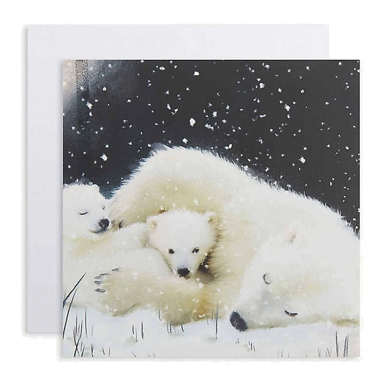 Christmas Cards 6 Pack Family Of Polar Bears XP335 main with envelope