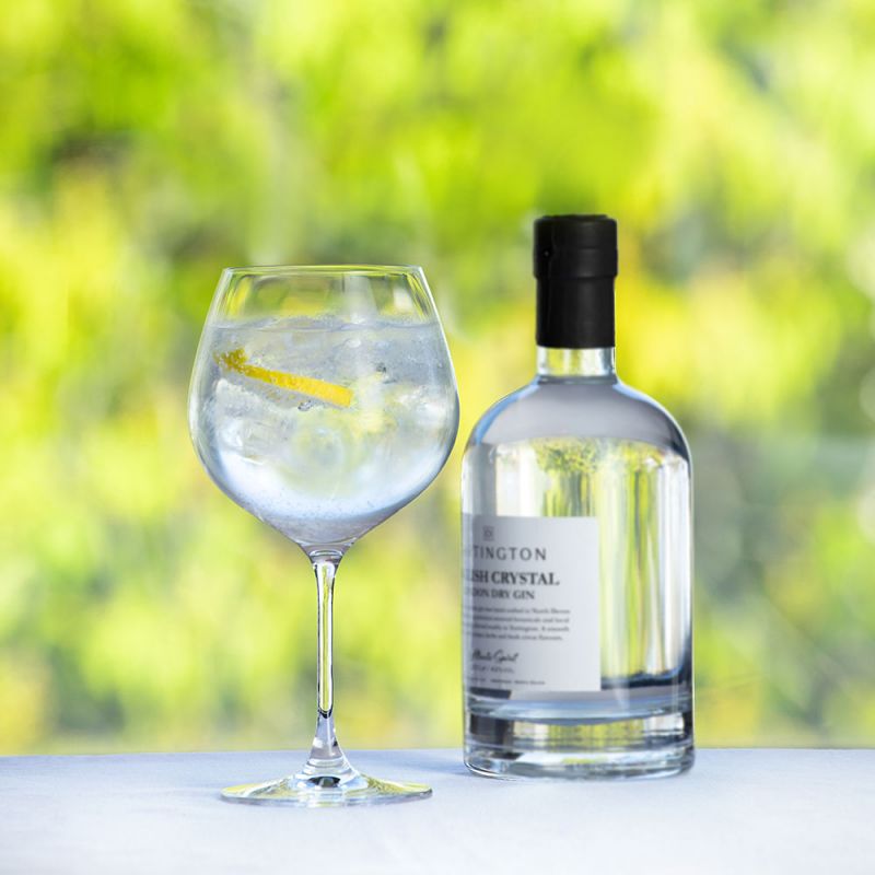 Dartington Crystal Just the One Gin & Tonic Copa Glass ST3180-4 lifestyle
