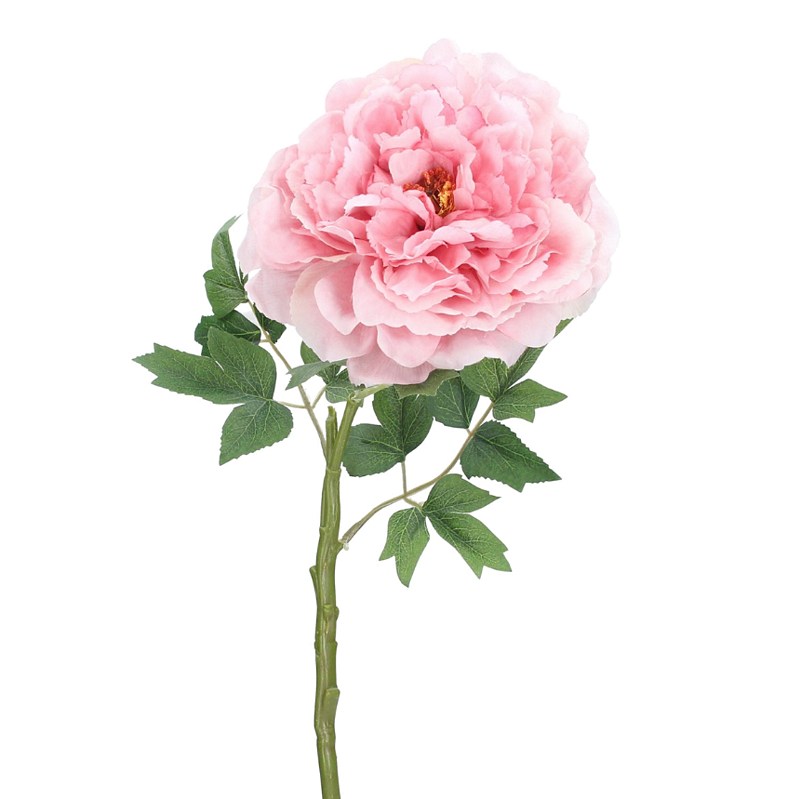 Dusky Pink Frilly Peony Flower Stem