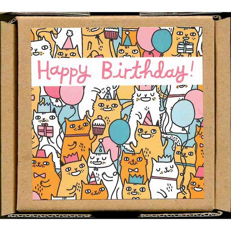 Happy Birthday Cat Gift Notecards & Envelopes front