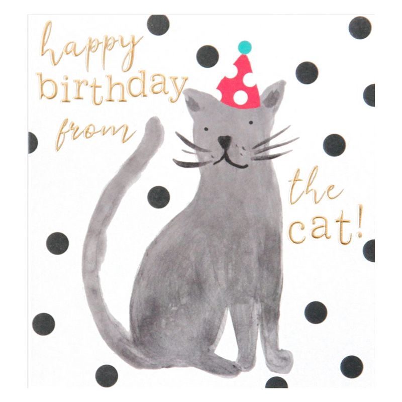 Happy Birthday From The Cat card PAI022