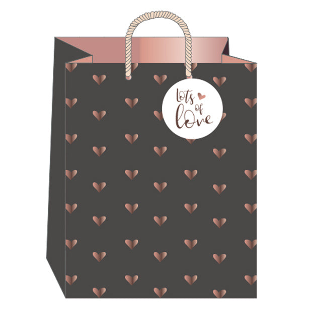 Hearts and Kisses Large Gift Bag GB151