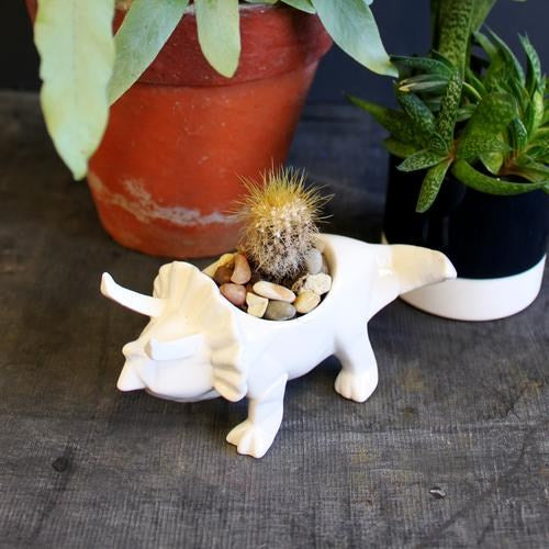 House Of Disaster Dinosaur Egg Cup White Triceratops DINEGGWH with plant