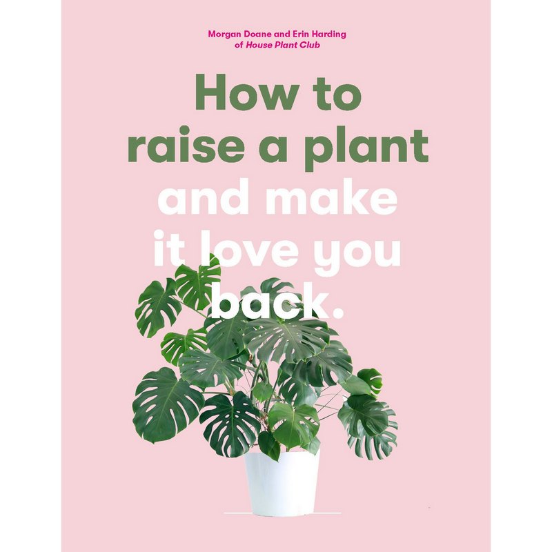 How To Raise A Plant And Make It Love You Back