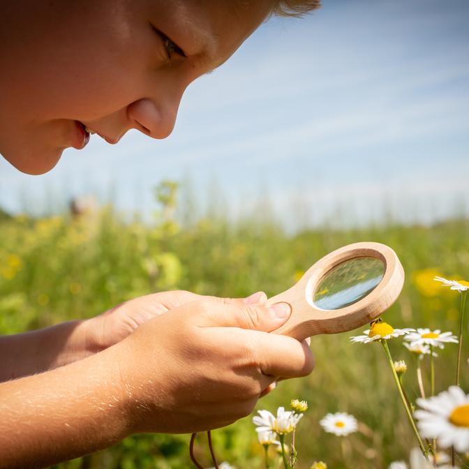 Huckleberry Dual Magnifier HB04 in use