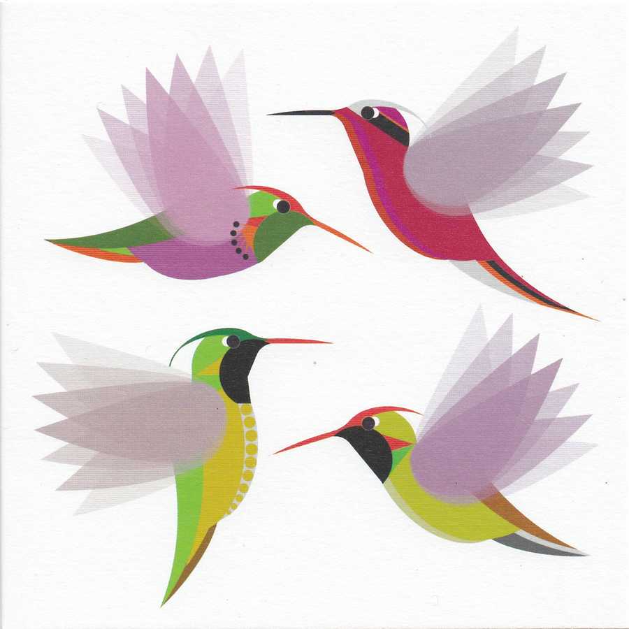 Hummingbirds Greetings Card