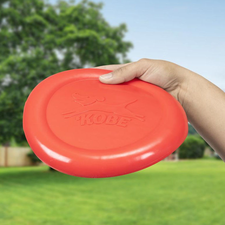 Kikkerland Bacon Scented Flying Disc DIG13 in use