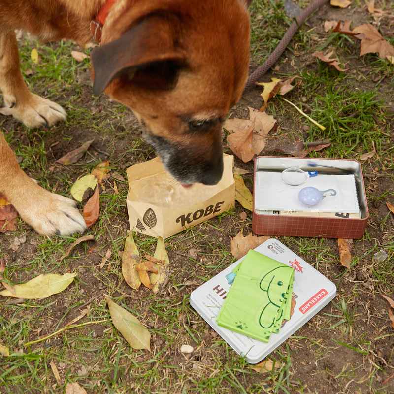 Kikkerland Kobe Dog Hiking Kit In A Tin DIG28 in use