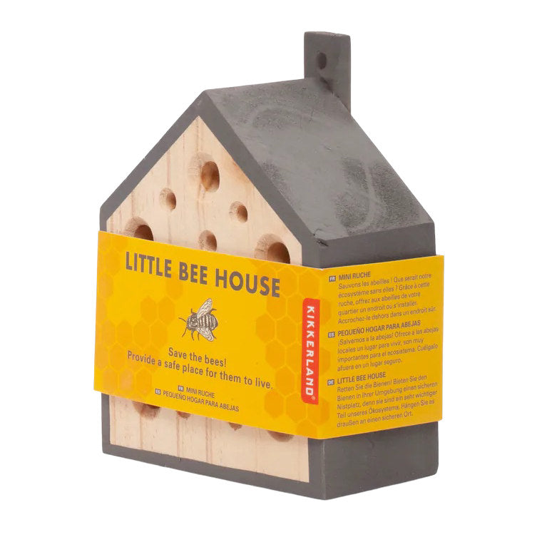 Kikkerland Little Bee Home CD527 wrapped