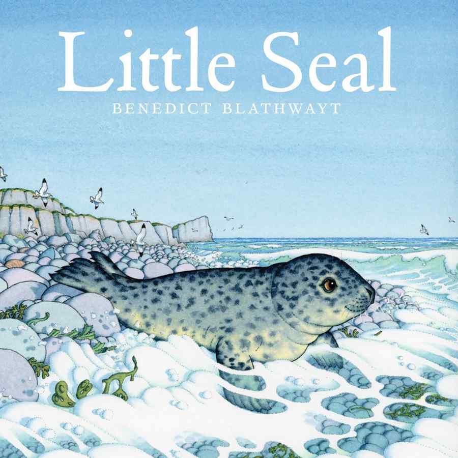 Little Seal book