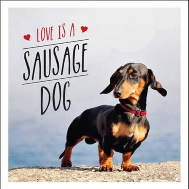 Love is a Sausage Dog by Charlie Ellis