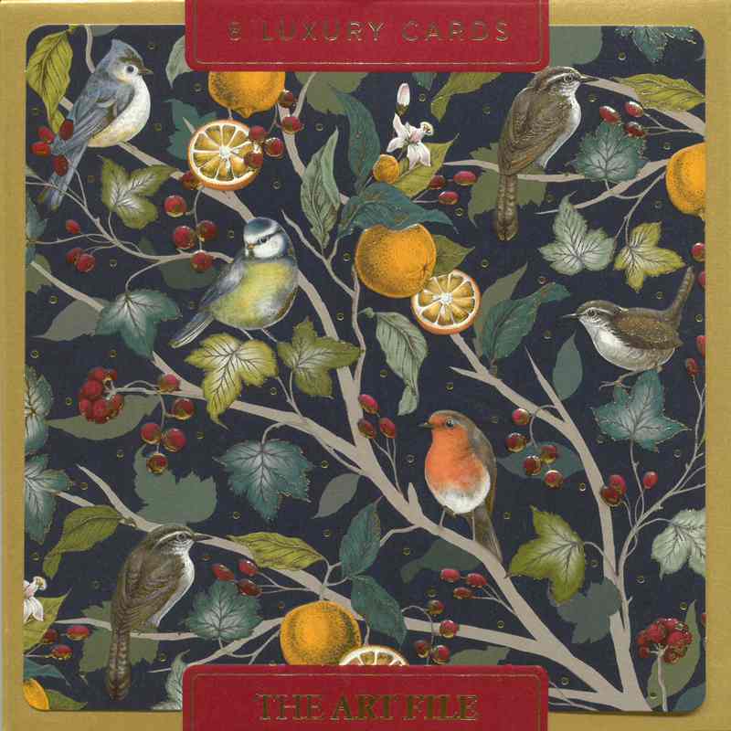 Luxury Christmas Cards Box of 8 - Robins and Oranges