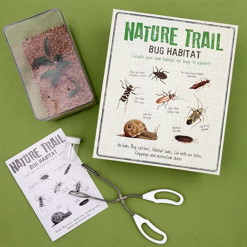 Make Your Own Bug Habitat 28554 lifestyle