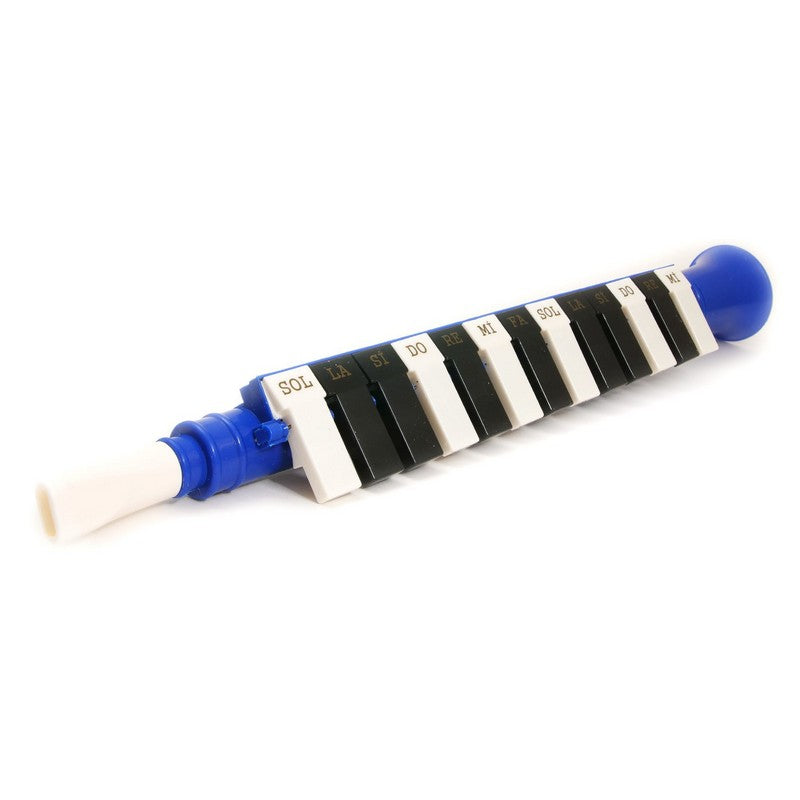 Melodica Musical Instrument 220210