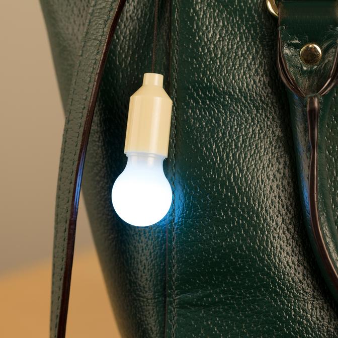 Mini LED Bulb Pull Light FL56 on handbag