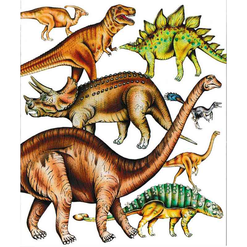 Natural History Museum Dinosaur Card NHM120 front