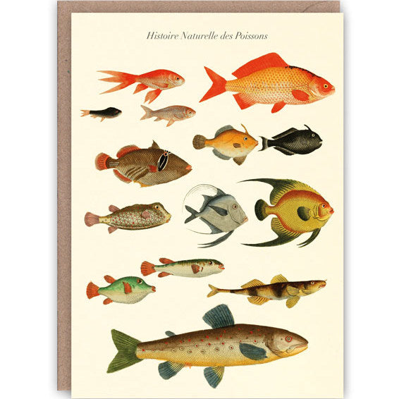 Pattern Book Vintage Science Histoire des Poissons PB710 front
