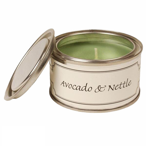 Pintail Candles Paint Pot Avocado & Nettle Scented Candle