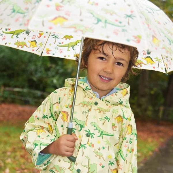 Powell Craft Dinosaur Raincoat RMDN on boy with umbrella