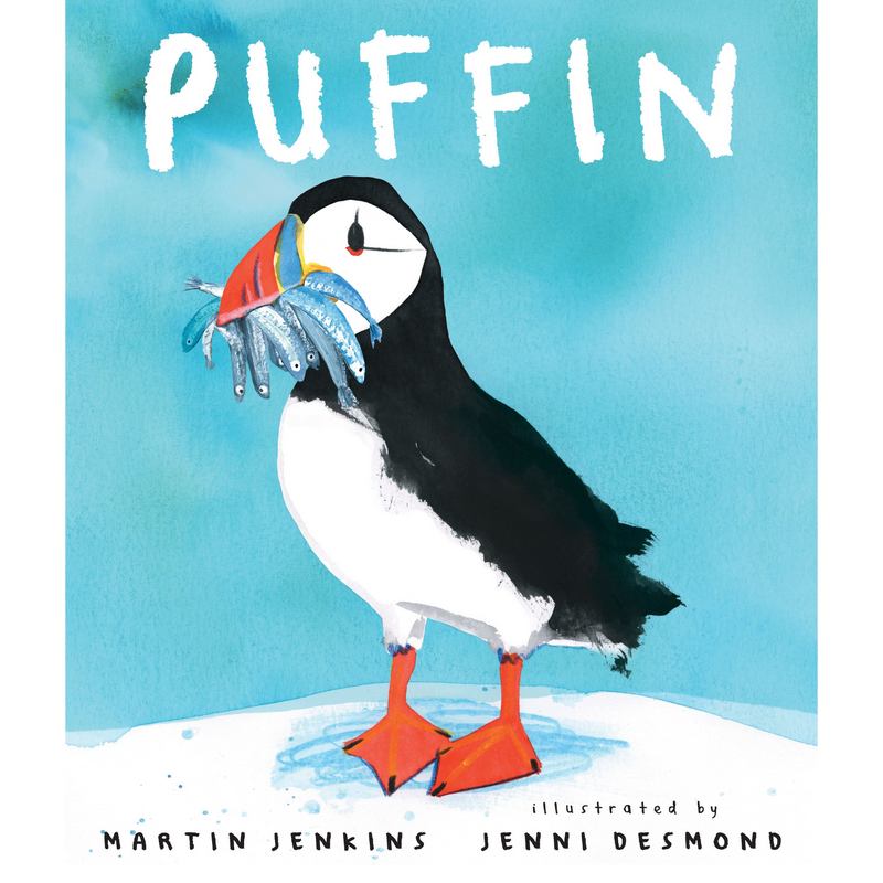Puffin by Martin Jenkins Hardback Book front cover
