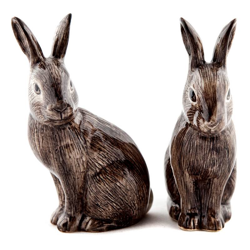 Quail Ceramics Wild Rabbit Salt & Pepper Pots front