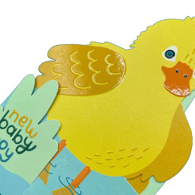 Raspberry Blossom Greetings Card 3D Duckling Baby Boy TRS31 detail