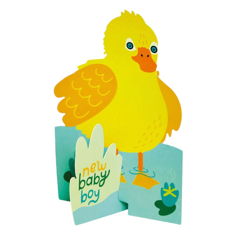 Raspberry Blossom Greetings Card 3D Duckling Baby Boy TRS31 main