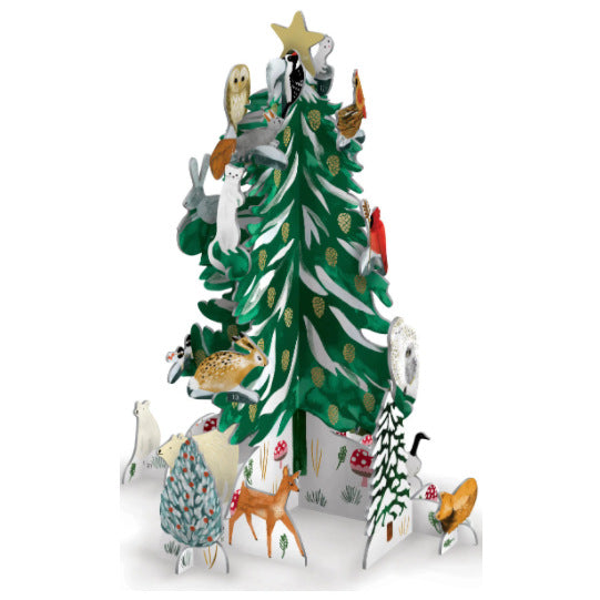 Roger La Borde Christmas Conifer Tree Pop & Slot Advent Calendar POP074 assembled