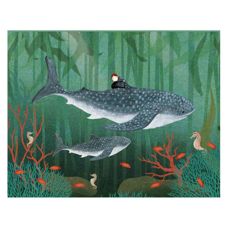 Roger La Borde Whale Song Chic Notecard Box CNB091 design 1