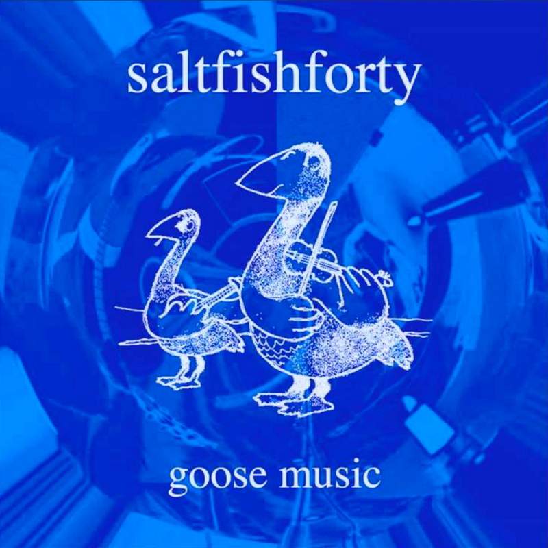 Saltfishforty Goose Music CRSFF0103 CD front