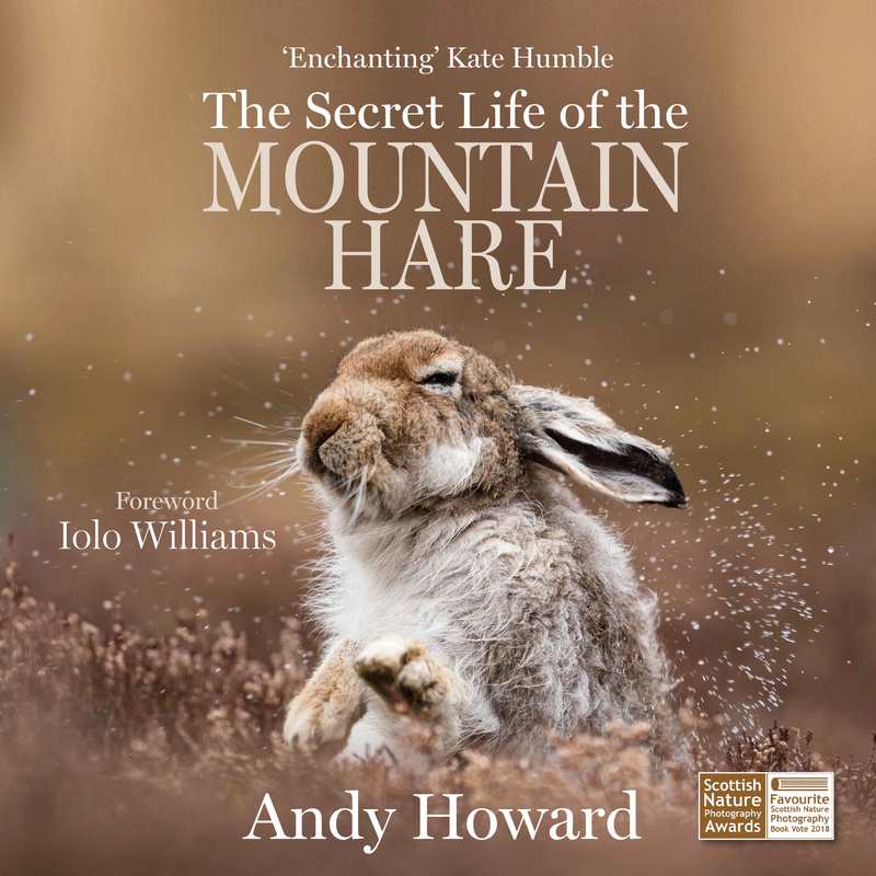 Secret Life Of The Mountain Hare by Andy Howard