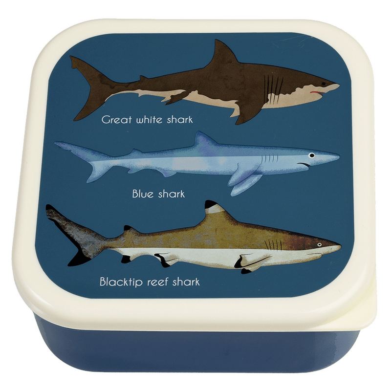 Sharks Nest of 3 Snack Box 29497 front