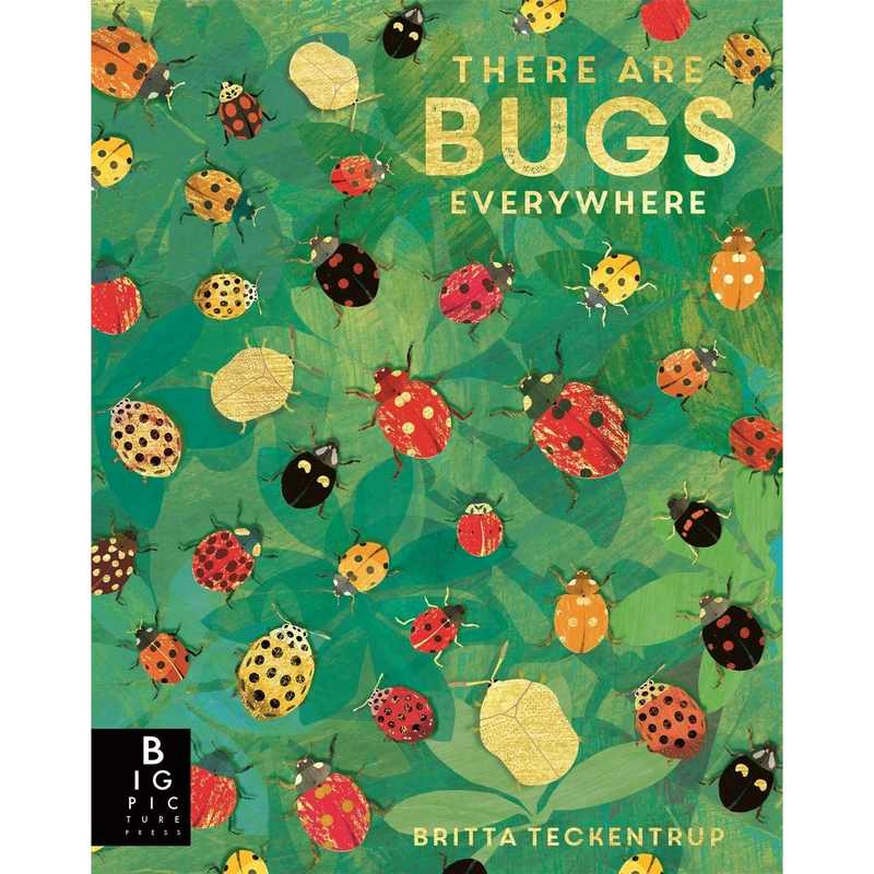 There Are Bugs Everywhere by Britta Teckentrup Paperback Book front