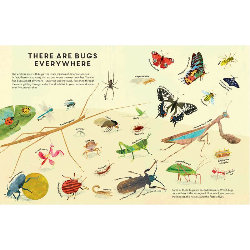There Are Bugs Everywhere by Britta Teckentrup Paperback Book inside