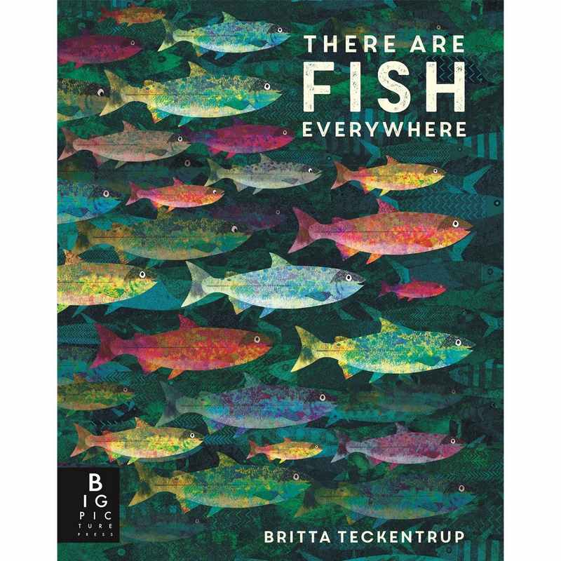 There Are Fish Everywhere by Britta Teckentrup Paperback Book front