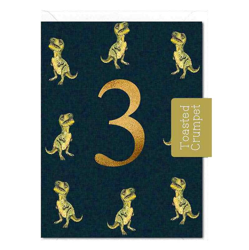Toasted Crumpet Designs 3rd Birthday Dinosaur Mini Card MM116 front