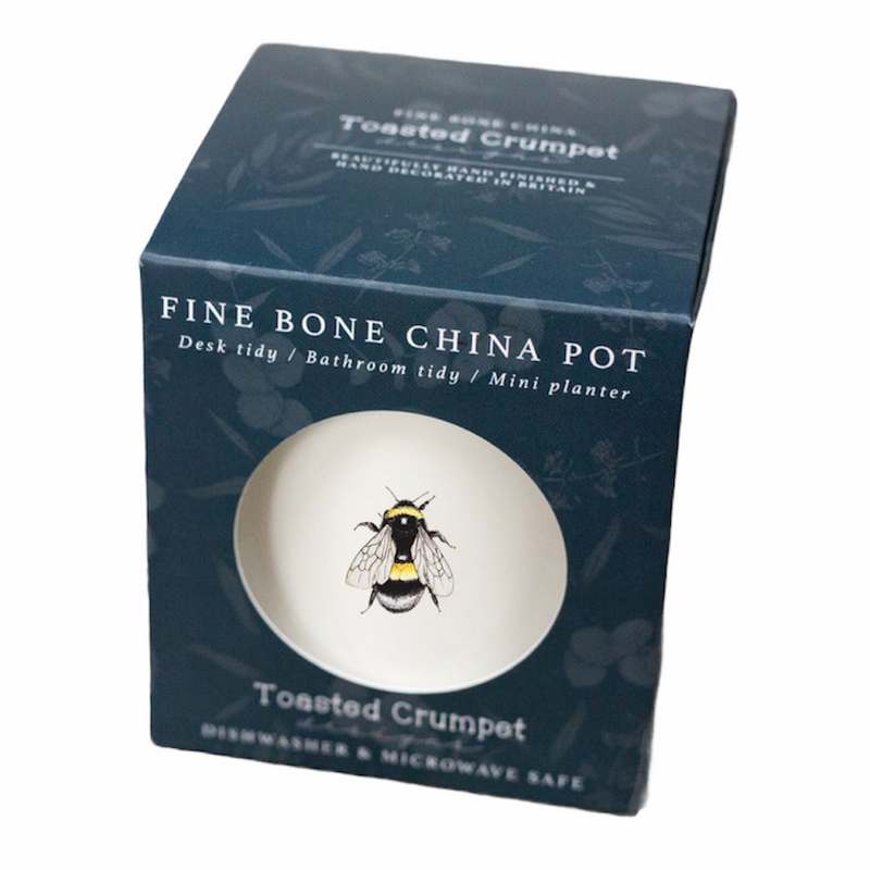 Toasted Crumpet Fine Bone China Pot Bumblebee FBT04 in box