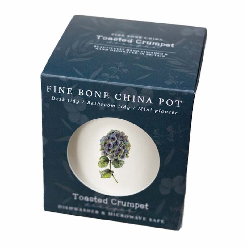Toasted Crumpet Fine Bone China Pot Hydrangea FBT16 in box