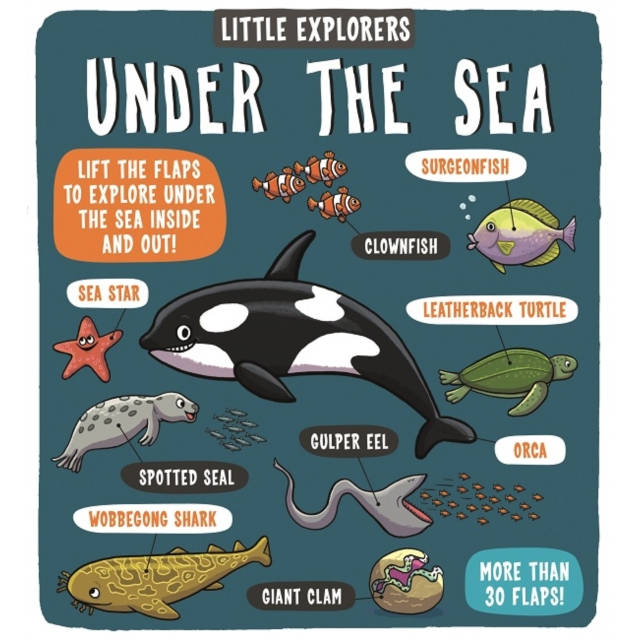 Under The Sea Little Explorers board book front