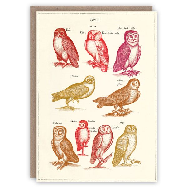 Vintage Owls Greetings Card