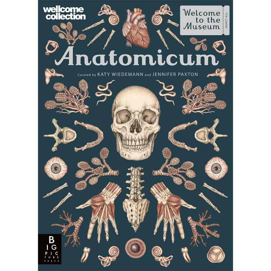 Welcome To The Museum - Anatomicum