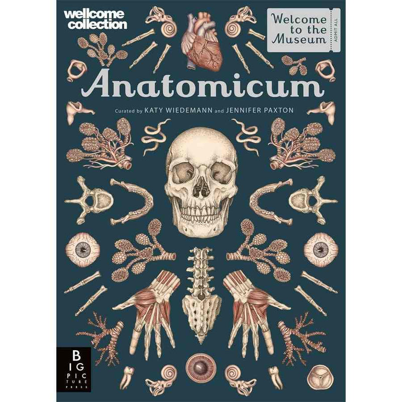 Welcome To The Museum - Anatomicum