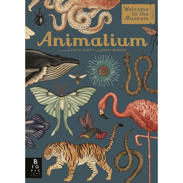 Welcome To The Museum Animalium Hardback