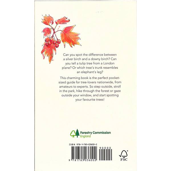 Westonbirt Arboretum's Tree Spotter's Guide back