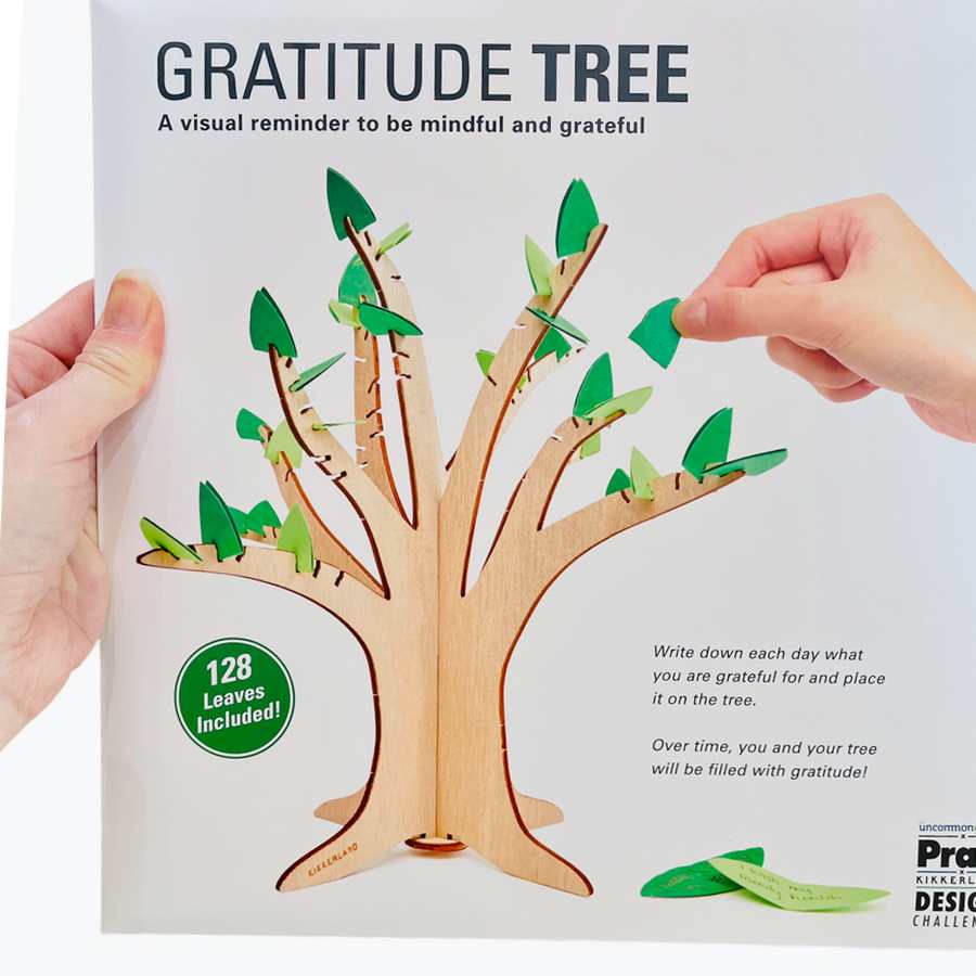 Wooden Gratitude Tree package in hand